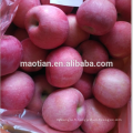 Rosy Blush fuji apple grandes tailles-vente chaude